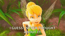 really tinkerbell what huh seriously