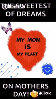 the sweetest of dreams on mothers day my family is my life my mom is my heart my sis is my smile