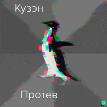 an image of a penguin with a glitch effect and the words kuzsh proteb