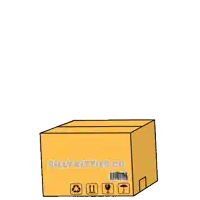 a cartoon cat is sitting in a cardboard box with the words subscribe written above it