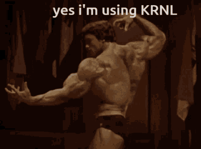 Krnl Krnl Cracked GIF - Krnl Krnl Cracked No Key - Discover & Share GIFs
