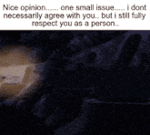 Nice Opinion Nice Opinion One Small Issue GIF