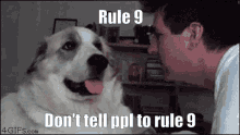 Rule Rule9 GIF