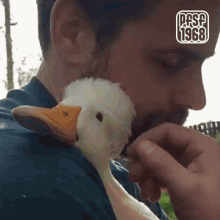 pfsf1968 cute duck cuddle hug