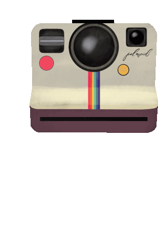 Polaroid GIFs