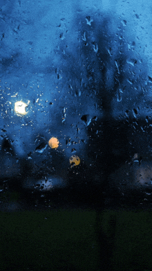 Rain GIF - Rain GIFs