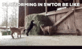 Baby Goat Jumping GIF - Baby Goat Jumping Slow Motion GIFs