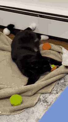 Spätzle And Why He Eepy GIF - Spätzle And Why He Eepy Cat GIFs