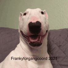 Frankyforgangcoord GIF - Frankyforgangcoord GIFs