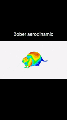 Bober Beaver Bobr Aerodinamic бобр бобёр бобер аеродинамика GIF - Bober Beaver Bobr Aerodinamic бобр бобёр бобер аеродинамика GIFs