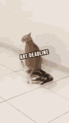 cat art deadlines artist