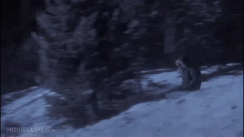 Clark on the Sled in the movie Christmas Vacation