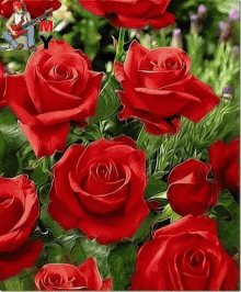 Uma Boa Tarde Para Todos Meus Amigos Roses GIF - Uma Boa Tarde Para Todos Meus Amigos Roses Flowers GIFs