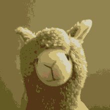 Llama Alpaca GIF - Llama Alpaca Llama Vibing GIFs