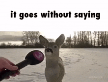 a person is holding a microphone in front of a deer .