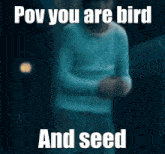 Pov Bird GIF - Pov Bird Seed GIFs