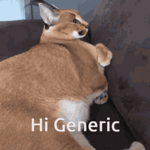 Hi Generic GIF - Hi Generic GIFs