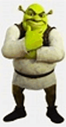 Shrek meme | Magnet