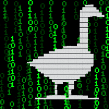 Hack Goose GIF - Hack Goose Hack Goose GIFs