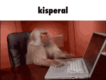 Kisperal GIF - Kisperal GIFs
