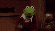 kermit the frog is wearing a red jacket and white collar and smiling .