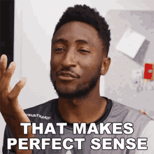 That Makes Perfect Sense Marques Brownlee GIF - That Makes Perfect Sense Marques Brownlee That Makes Complete Sense GIFs