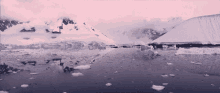 Arctic Iceberg GIF - Arctic Iceberg Antarctica GIFs