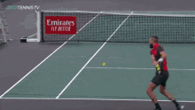 a tennis player is about to hit a ball on a court with an emirates fly better sign behind him