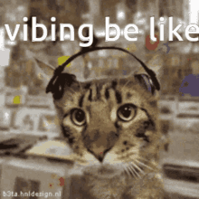 Cat Headphones GIF - Cat Headphones Vibe Cat GIFs