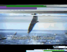 Crypto Nft GIF - Crypto Nft Whale GIFs