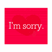 sorry im sorry apology im so sorry