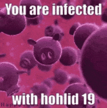a picture of a pig with the words `` you are infected with hohlid 19 '' on it .