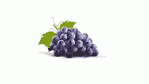 animated grapes gif