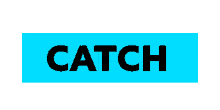 catchandrelease catch hook release tirolerfischereiverband