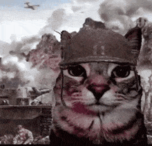 a cat wearing a military helmet is looking at the camera in front of a battle scene .
