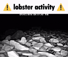 Lobster Funny Lobster GIF - Lobster Funny Lobster Lobster Activity GIFs