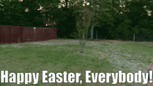 Sml Easter Bunny GIF - Sml Easter Bunny Happy Easter Everybody GIFs