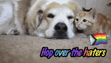 a picture of a dog and a kitten with the words hop over the haters above them