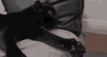 Kitty Cat Thumbs Up GIF