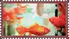 a stamp with a picture of a fish and flowers on it