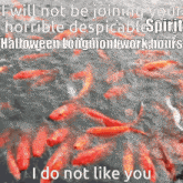 a bunch of red fish are swimming in the water with a caption that says i will not