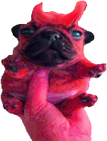 Dog Frenchie Sticker - Dog Frenchie Satan Stickers