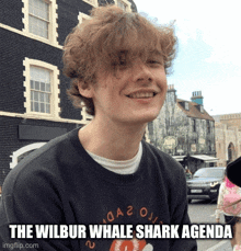 Wilbur Soot Whale Shark GIF - Wilbur Soot Whale Shark Shark GIFs