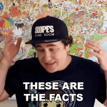 These Are The Facts Daniel Ibbertson GIF - These Are The Facts Daniel Ibbertson Dj Slope GIFs