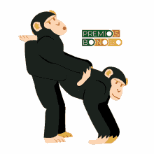 premiosbonobo mono monos bonobos bonobo
