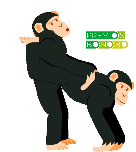 Premiosbonobo Mono Sticker - Premiosbonobo Mono Monos - Discover