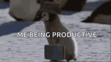 Business Productive GIF