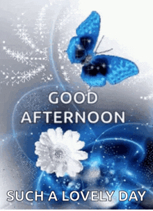 a blue butterfly is flying over a white flower with the words good afternoon such a lovely day