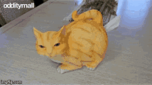 Meow Cat GIF