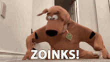 Zoinks Whoa GIF - Zoinks Whoa Startled GIFs